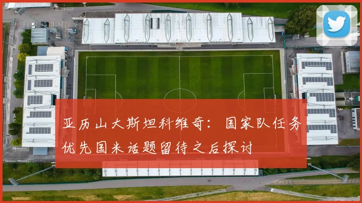 亚历山大斯坦科维奇：国家队任务优先国米话题留待之后探讨