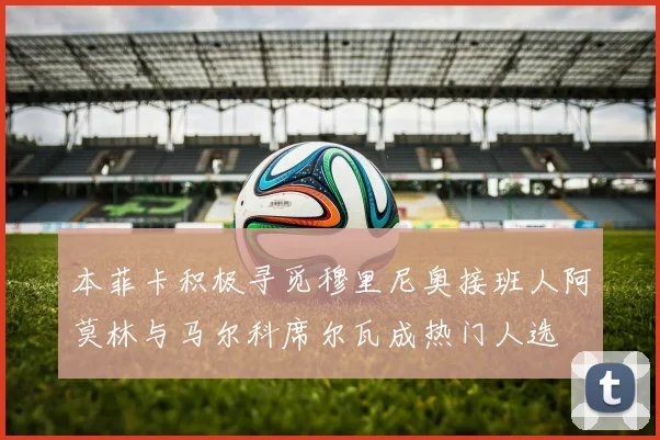 本菲卡积极寻觅穆里尼奥接班人阿莫林与马尔科席尔瓦成热门人选